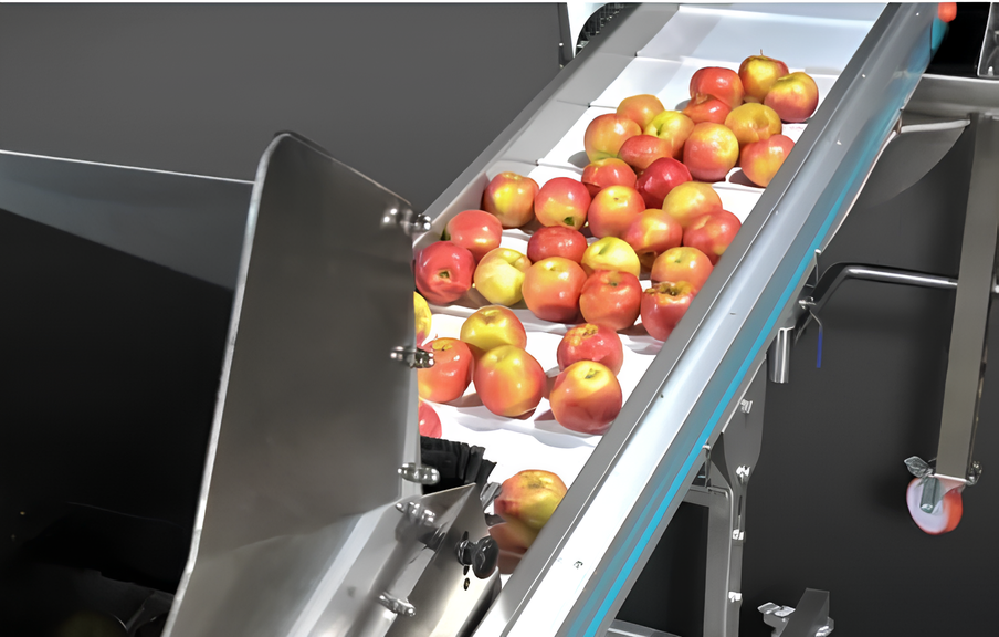 Inspection Conveyor (1)